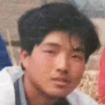 贾辉
