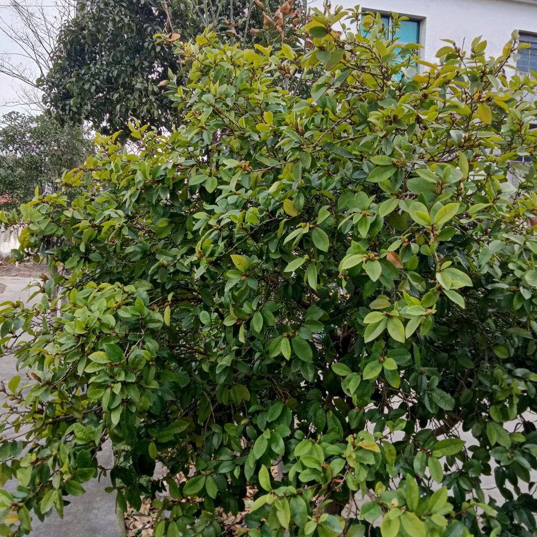 用户2679608702683