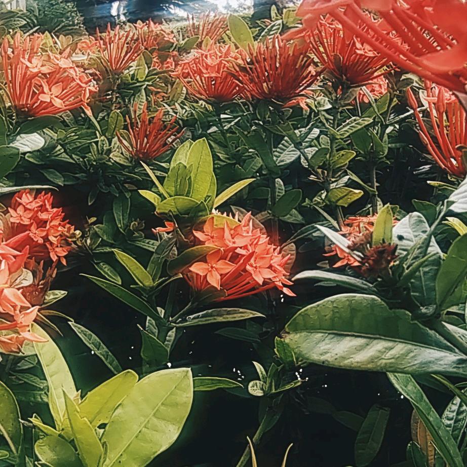北海风光