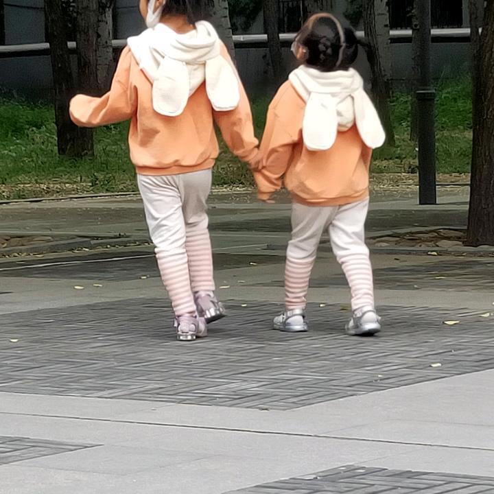 东北铁锅炖（屯田店）