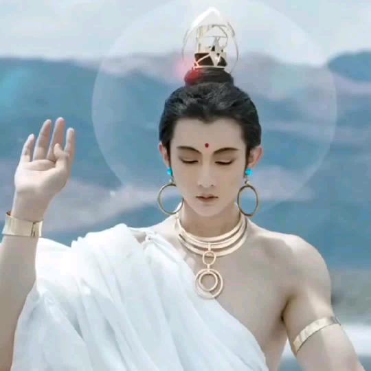 飞蛾不一定扑火