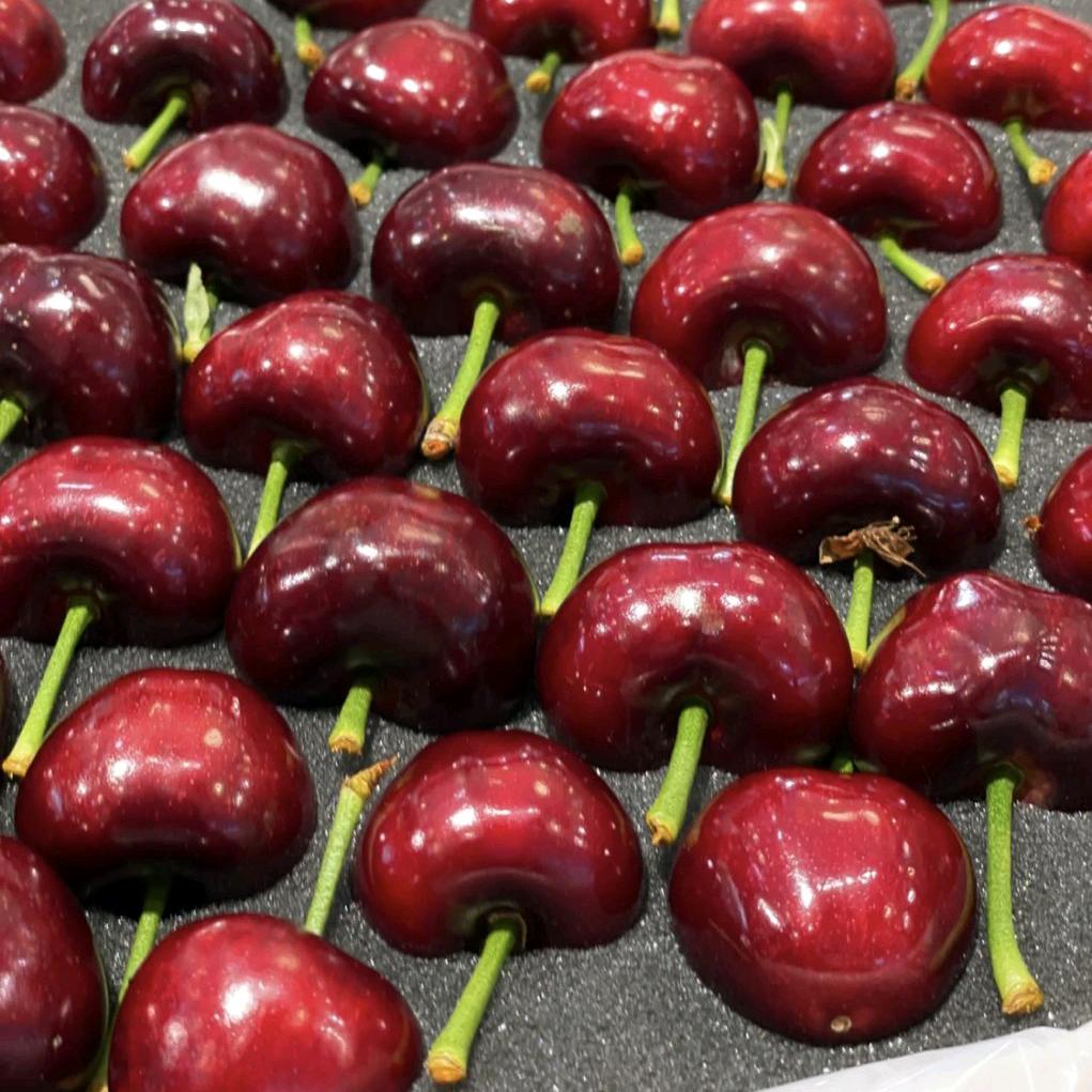 诚信志远果业小时达新密