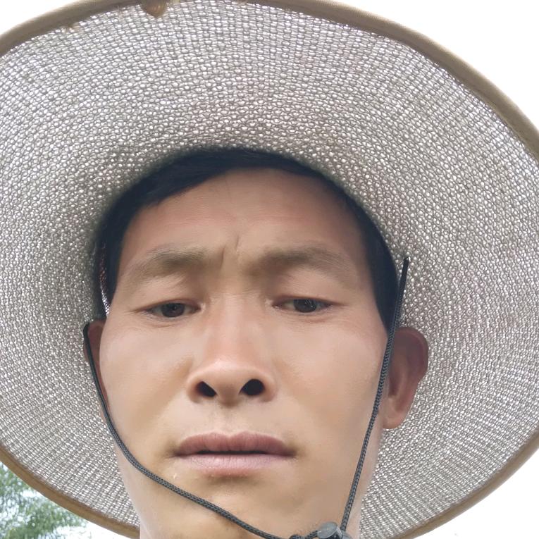 昭通市昭阳区顺路种植