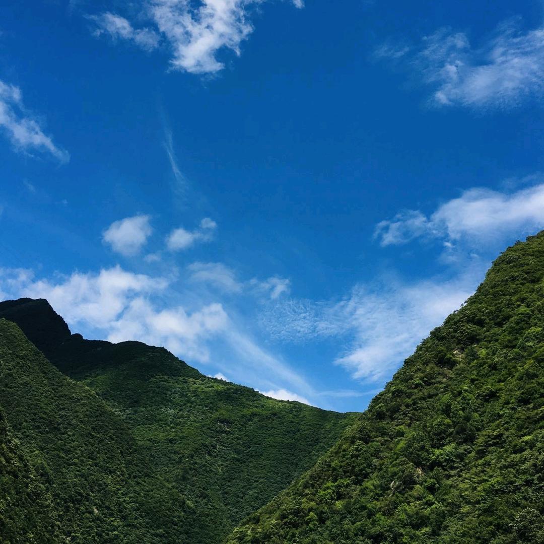 蓝仓月