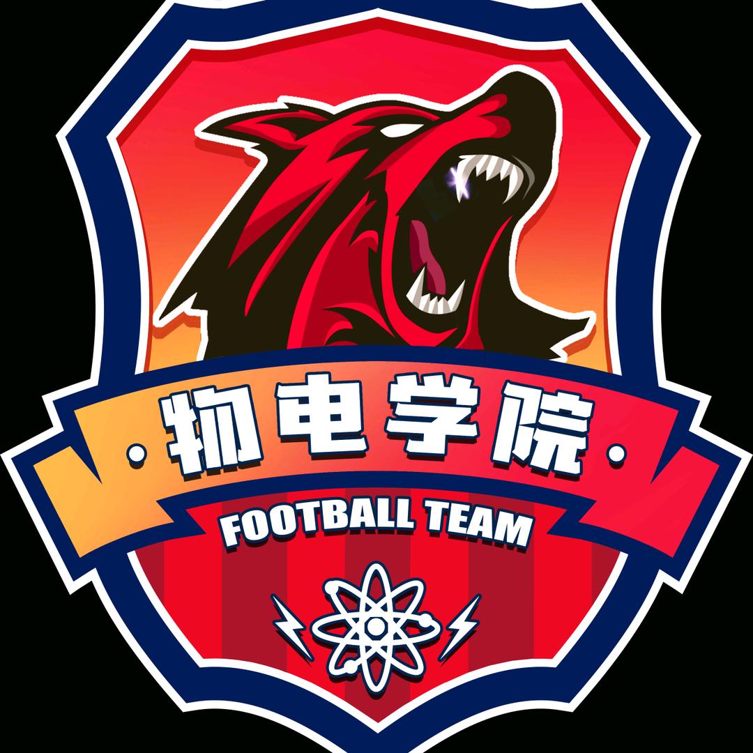 宝文理物电学院足球队