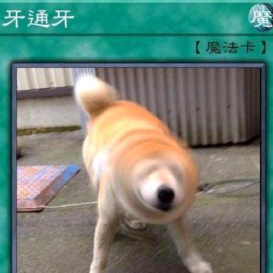 万卷书