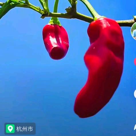 彩钢瓦钢结构