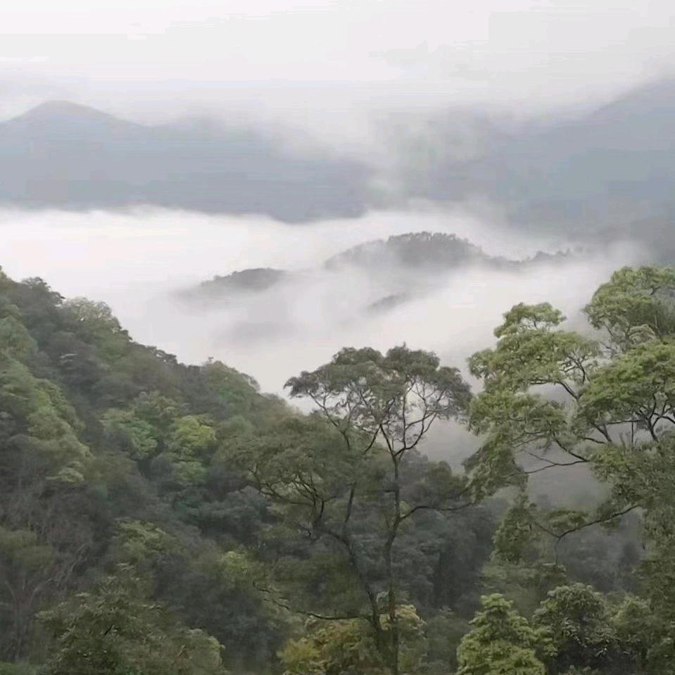 百闻不如一见