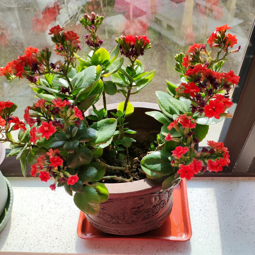 罗建云老三