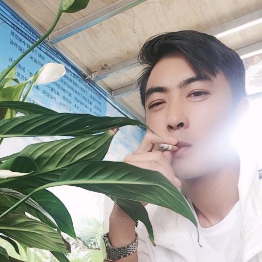 👉小伍👈“云南赞臣农业发展有限公司”
