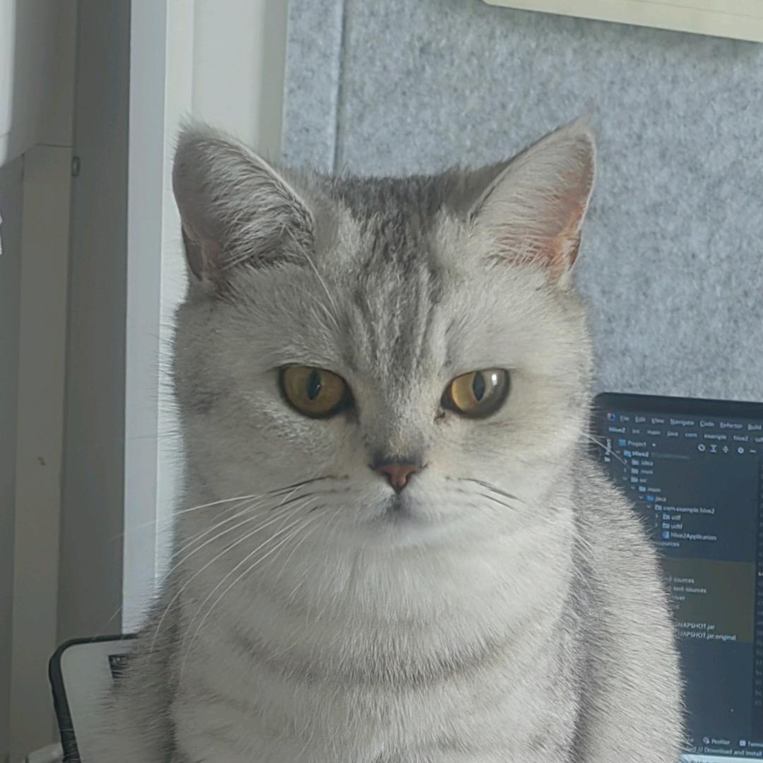 柿果子