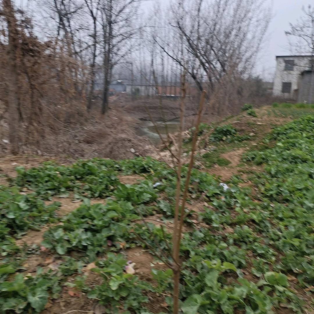 永远快乐，李姐