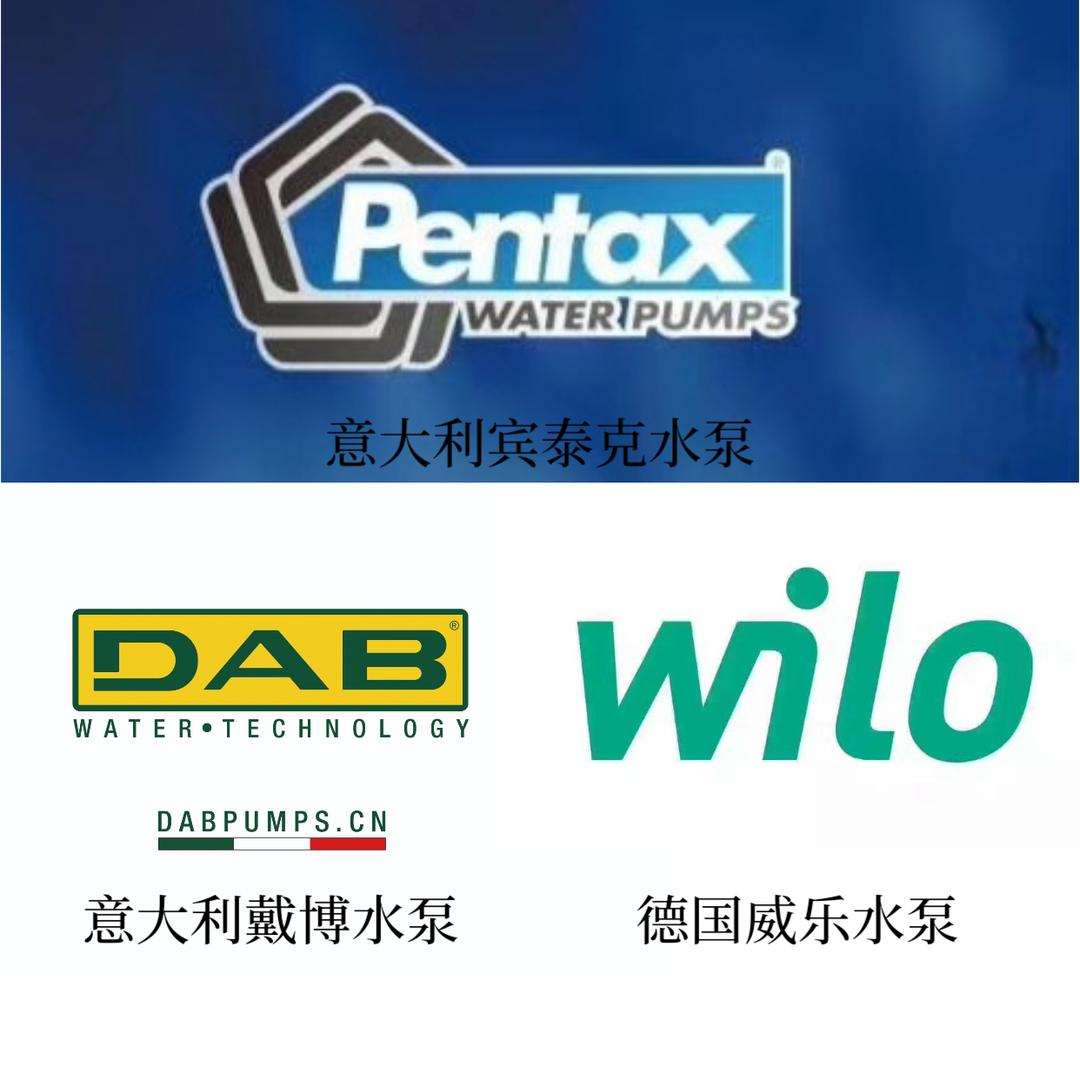 意大利宾泰克，戴博水泵，德国威乐