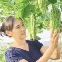 徐姐楼台小菜园
