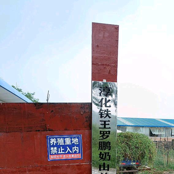 众羊联盟