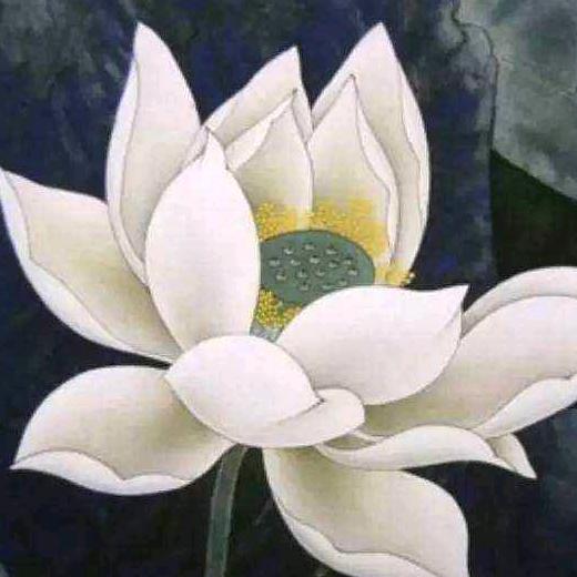 佛光普照