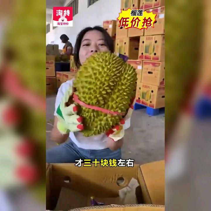 一个人都没有