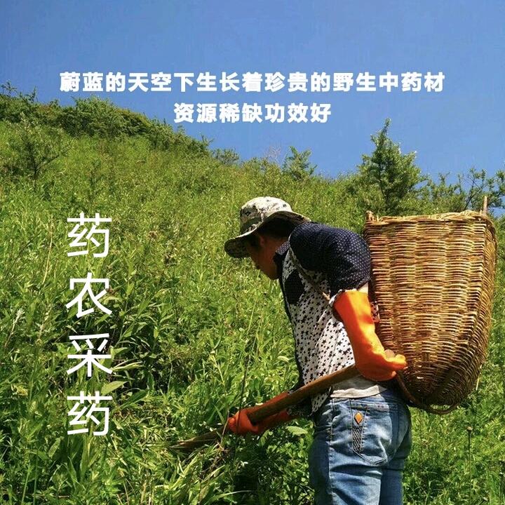 漳县高原地道采药人家农副产品店