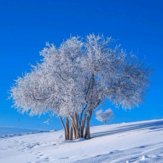 @雨过天晴☀️🌙