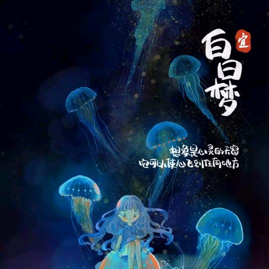 岳麓区五星钻豹电动车