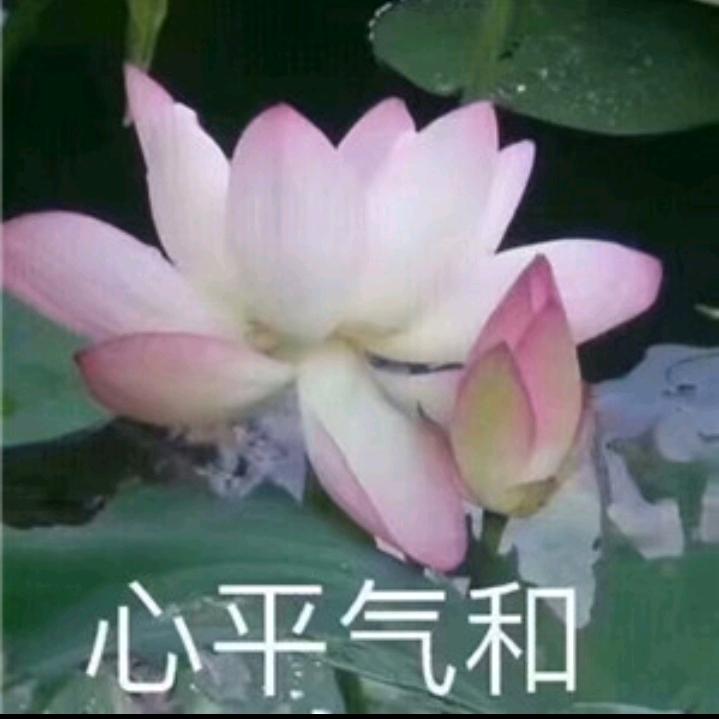 祝好人一生平安