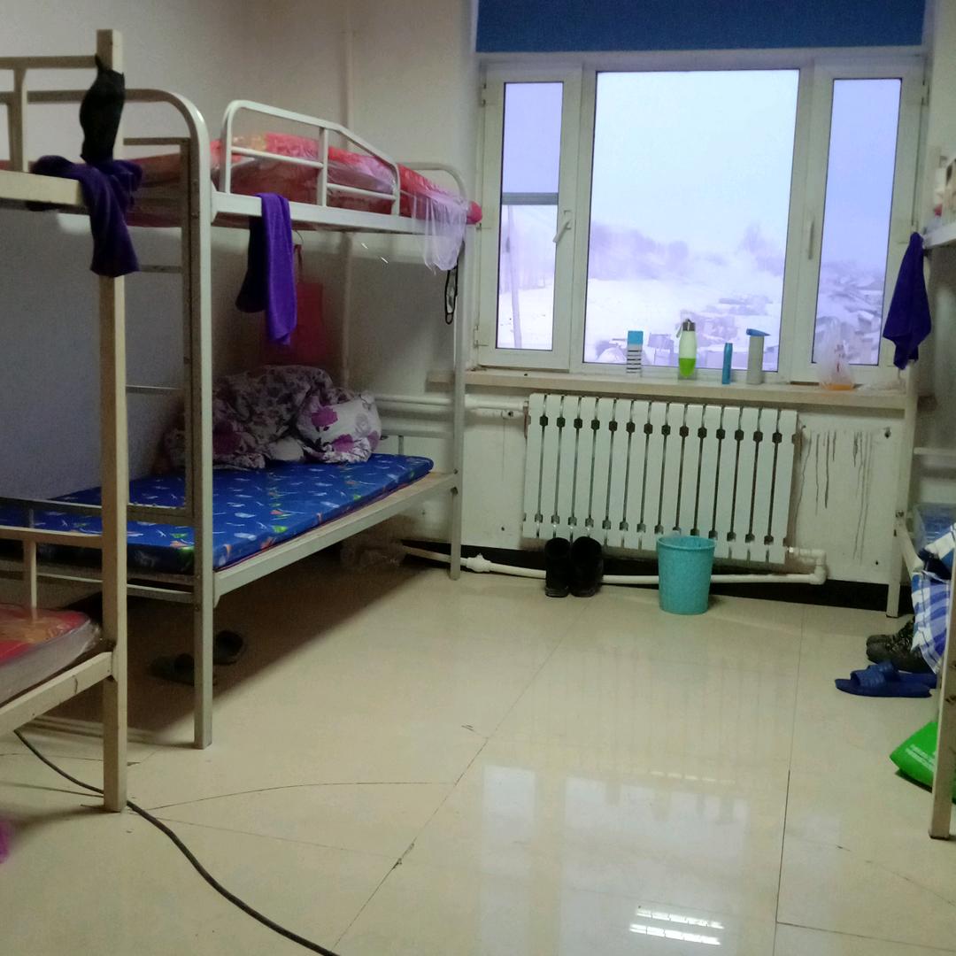 自由自在