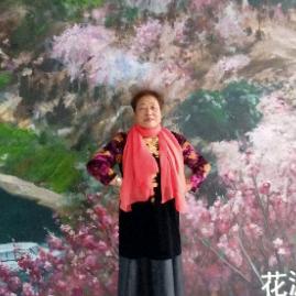 淑女