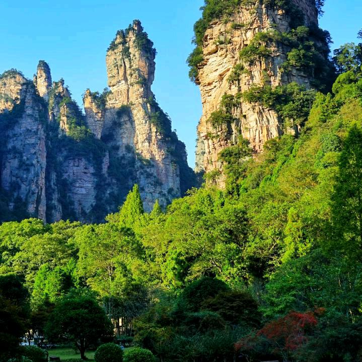勇敢忠诚
