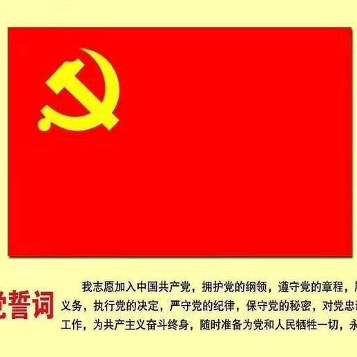 董存双