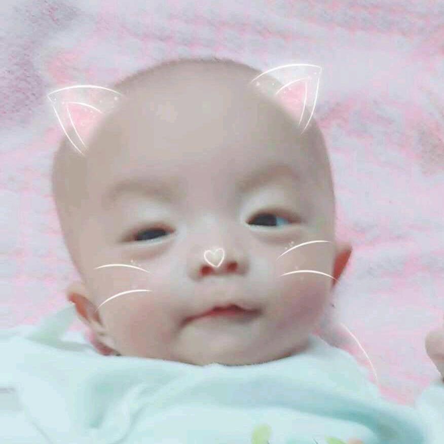 小小依诺