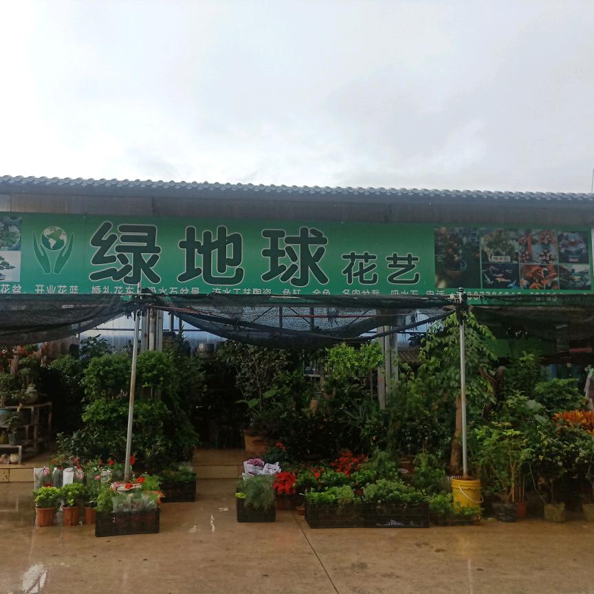 江城绿地球花艺（手机摄影）