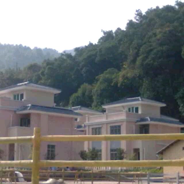 丁