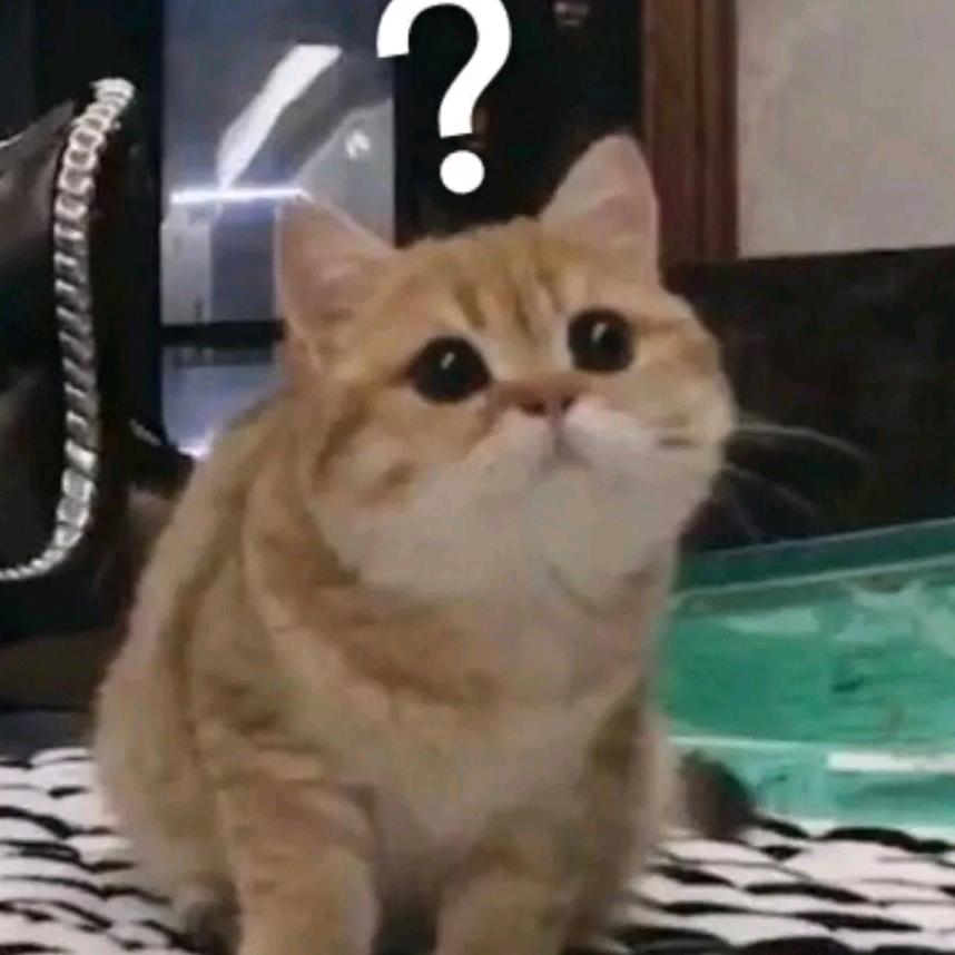 哼