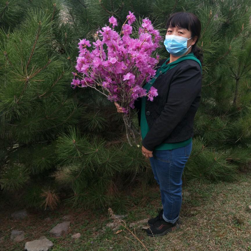 月芽湾湾