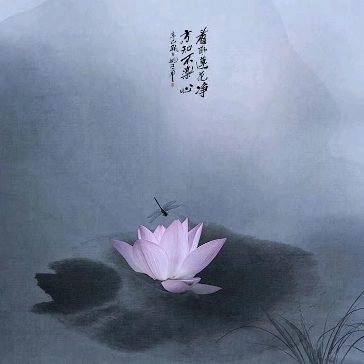 吉祥如意82