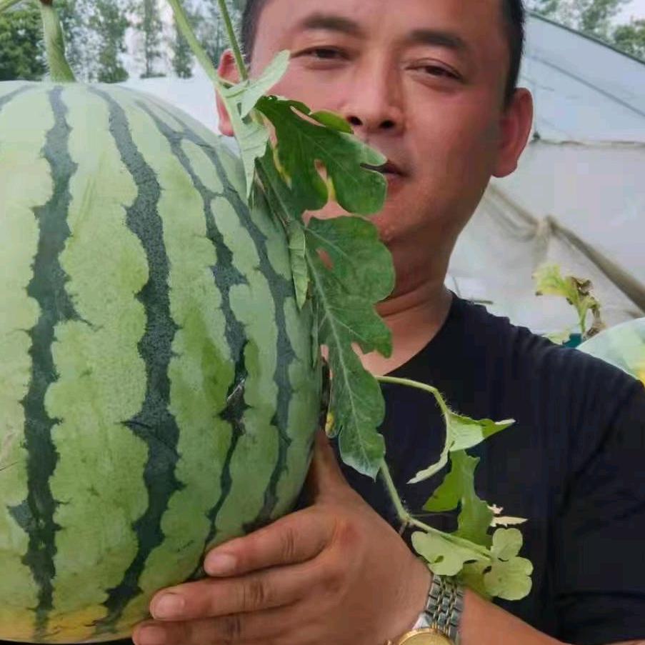森盛种植农民专业合作社
