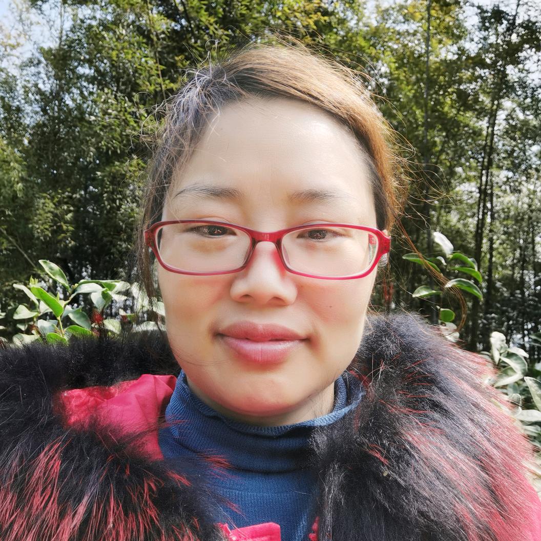 我是一只小懒猫