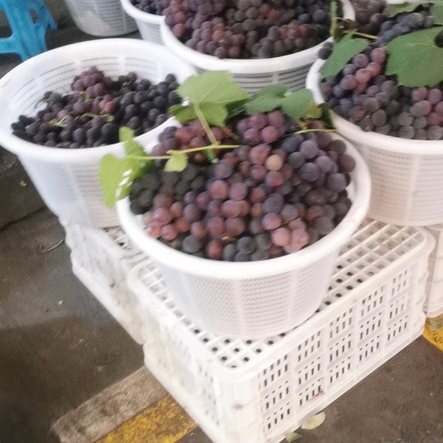 今生有缘再相见