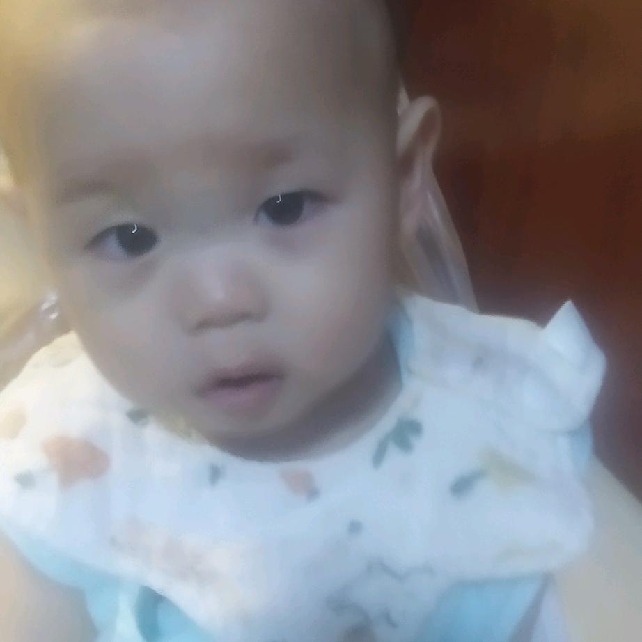 风格