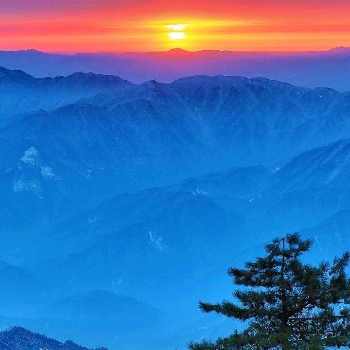 李