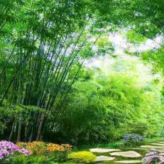 晓晓