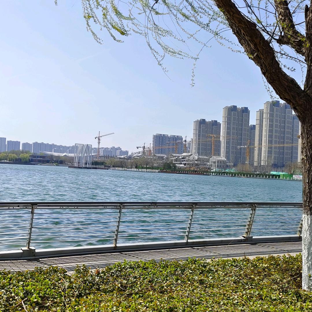 淄博叁合院房产