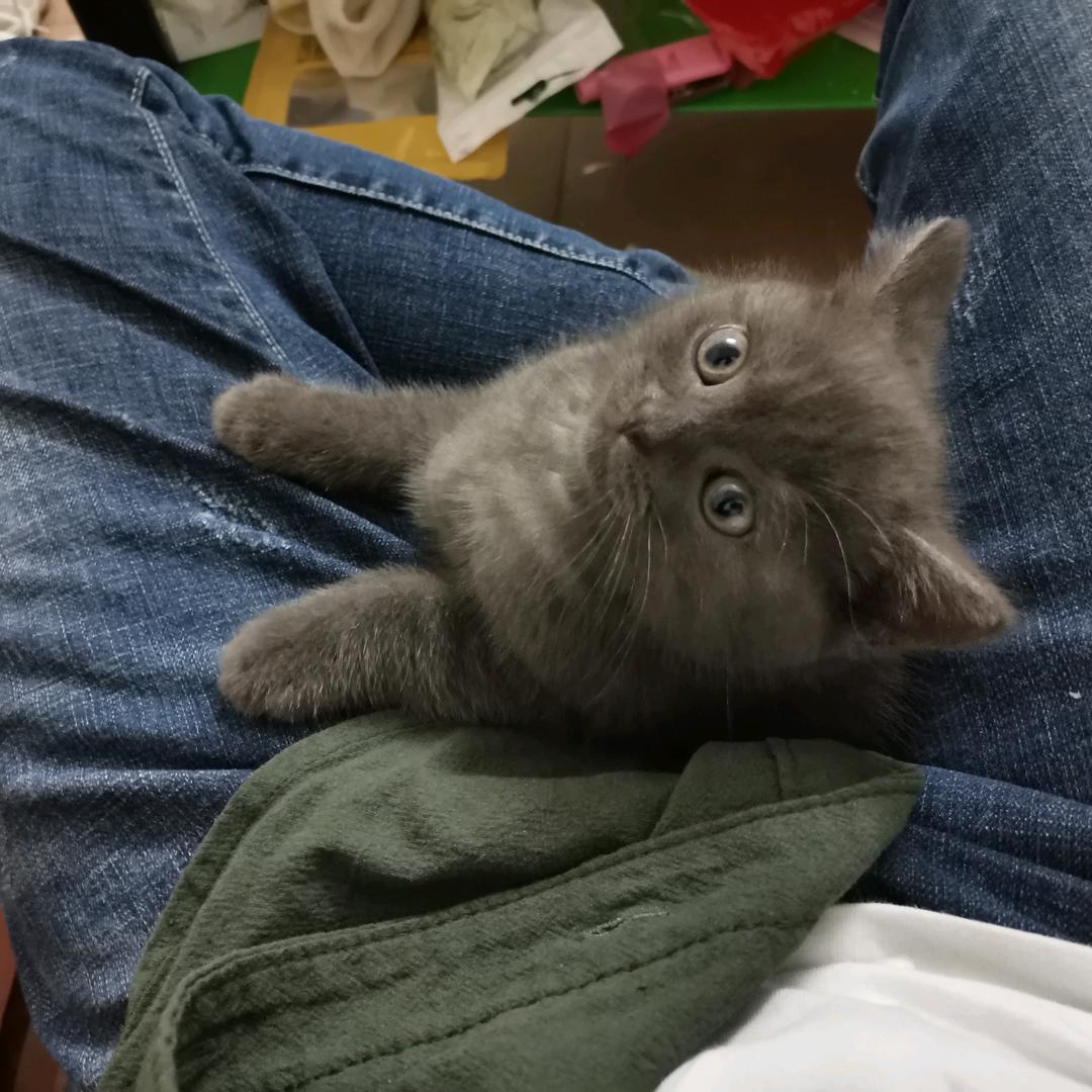 佛冈县汤塘镇贝微服装店（个体工商户）