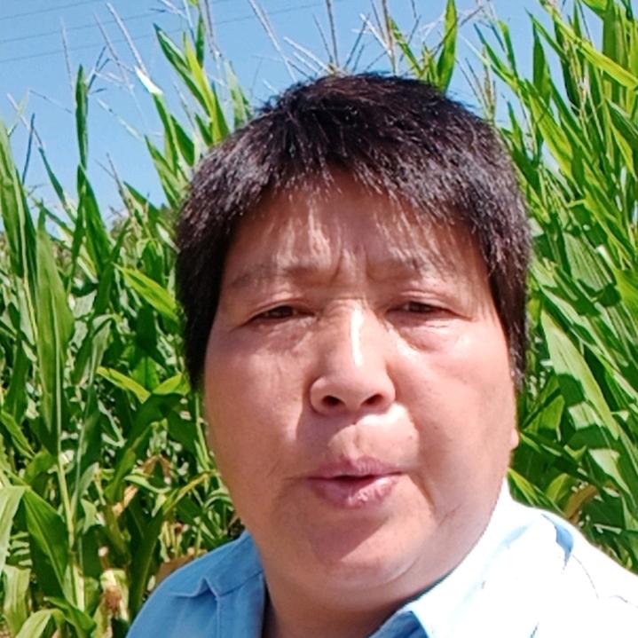 老忍（安〉每天晚上9点30分开播。