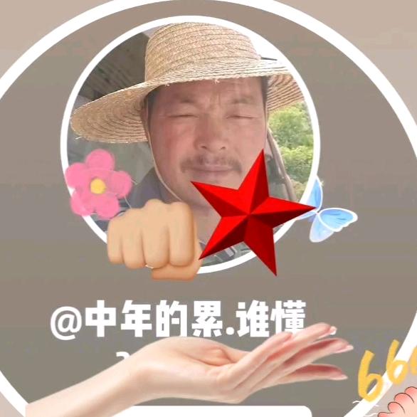 @🌸坚持&拼搏✨董💫