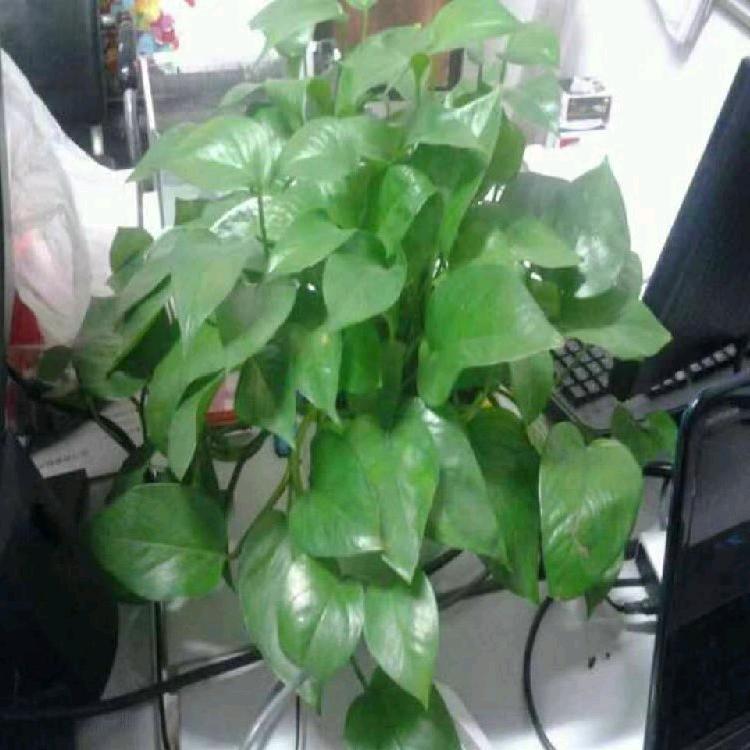 牵手幸福🍀