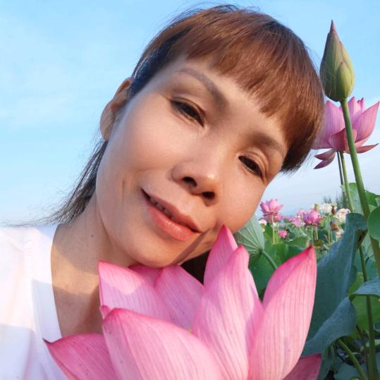 黄瑞香