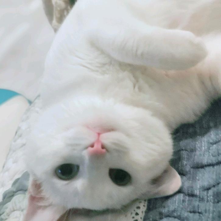 老欧