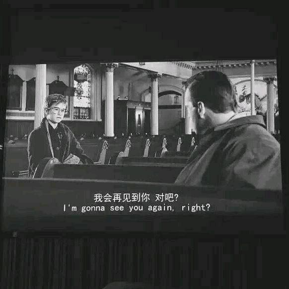 乐此不疲的小🐴哥