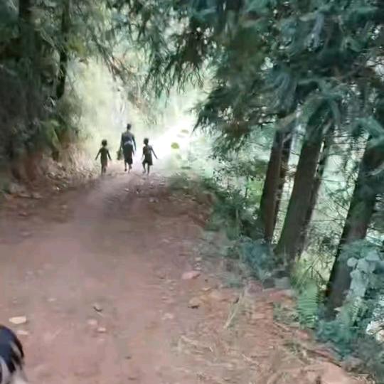 山间问草